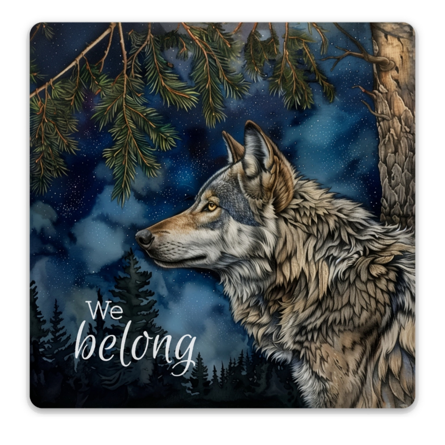 Sticker: We belong