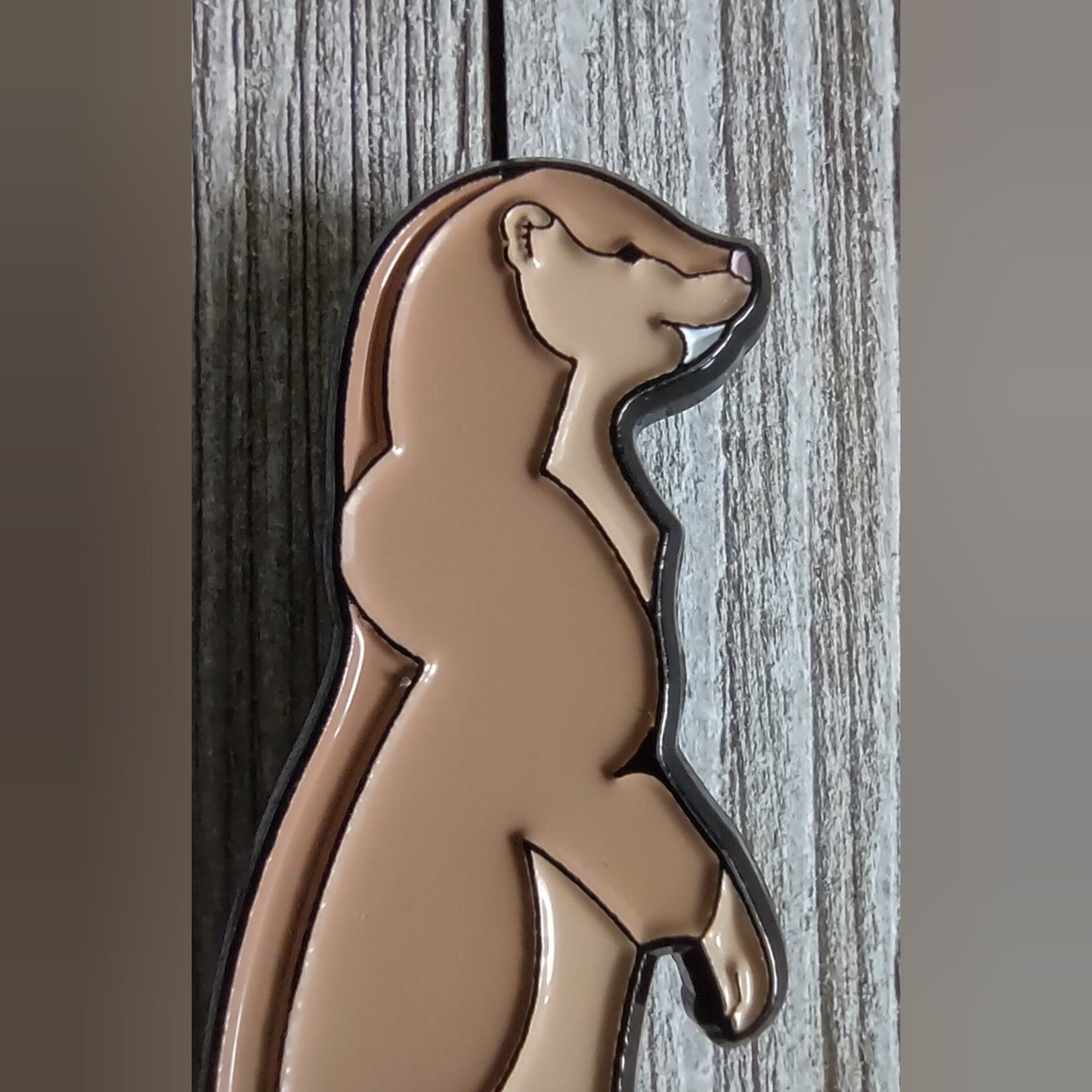 Nico Pin