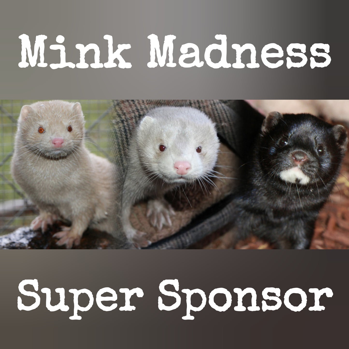 Mink Super Sponsor