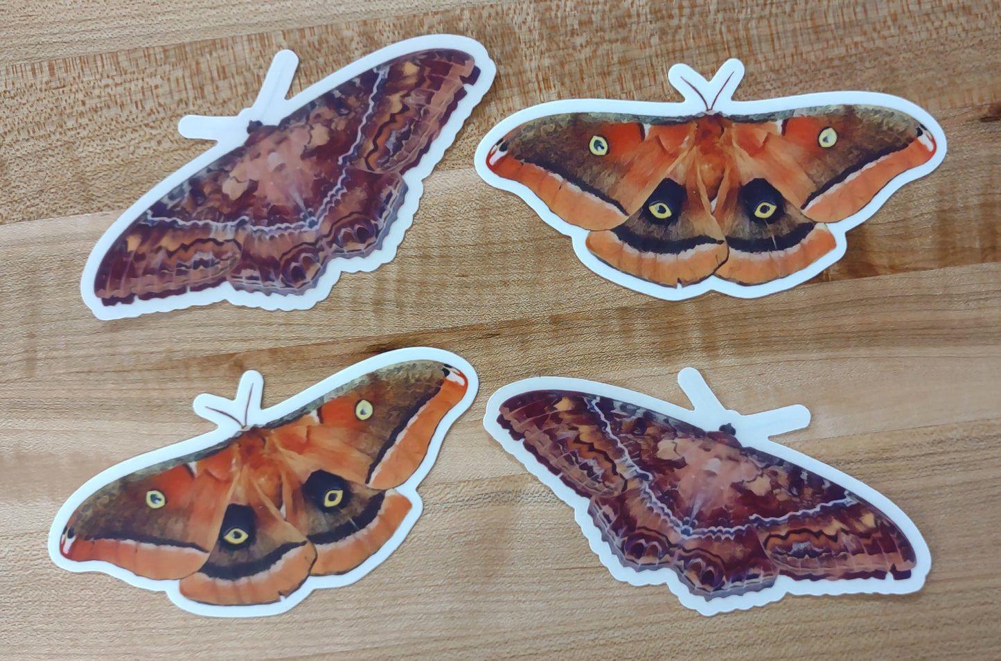 Sticker: Butterfly of Death (Black Witch Moth)