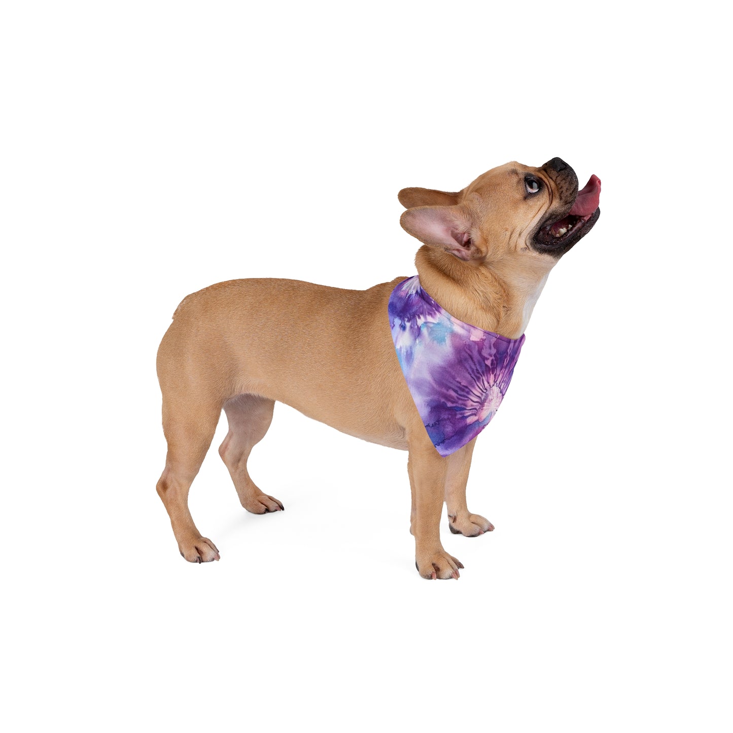 Purple Pet Bandana