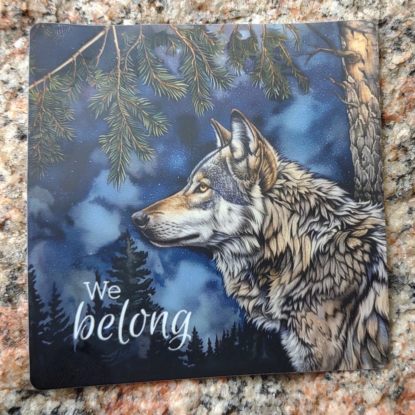 Sticker: We belong