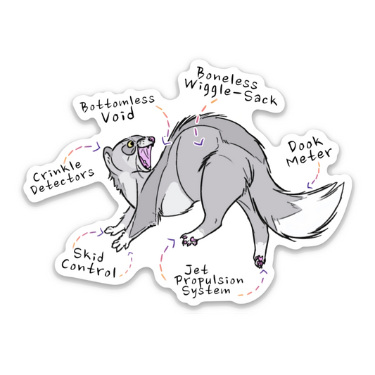 Sticker: Ferret Anatomy!