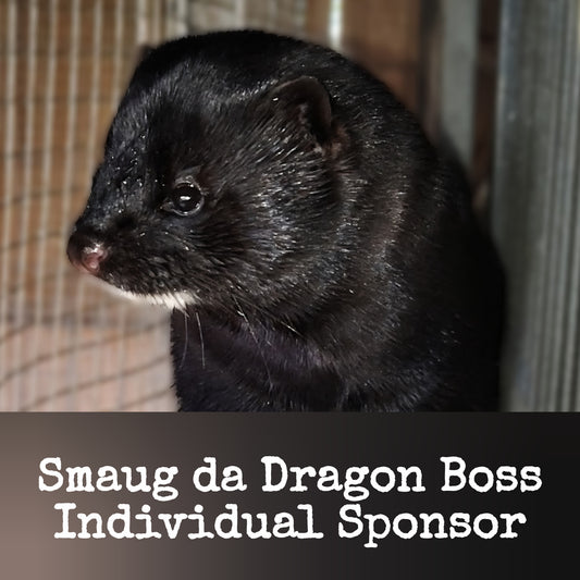 Individual Sponsor: Smaug