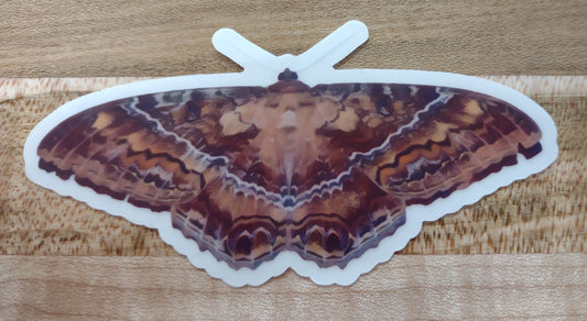 Sticker: Butterfly of Death (Black Witch Moth)