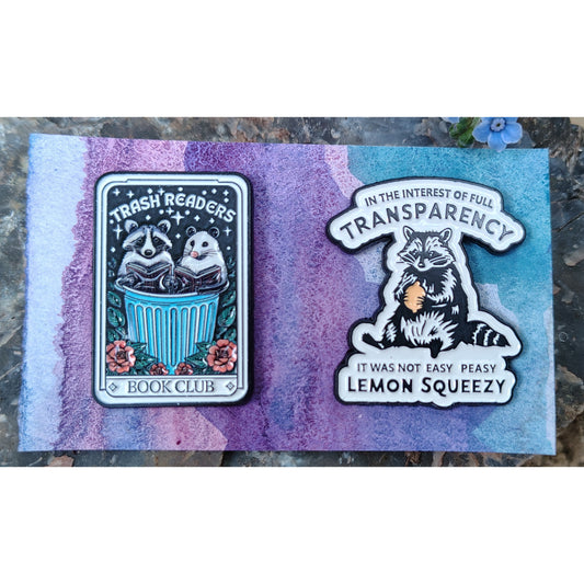 Raccoon Pins: set of two