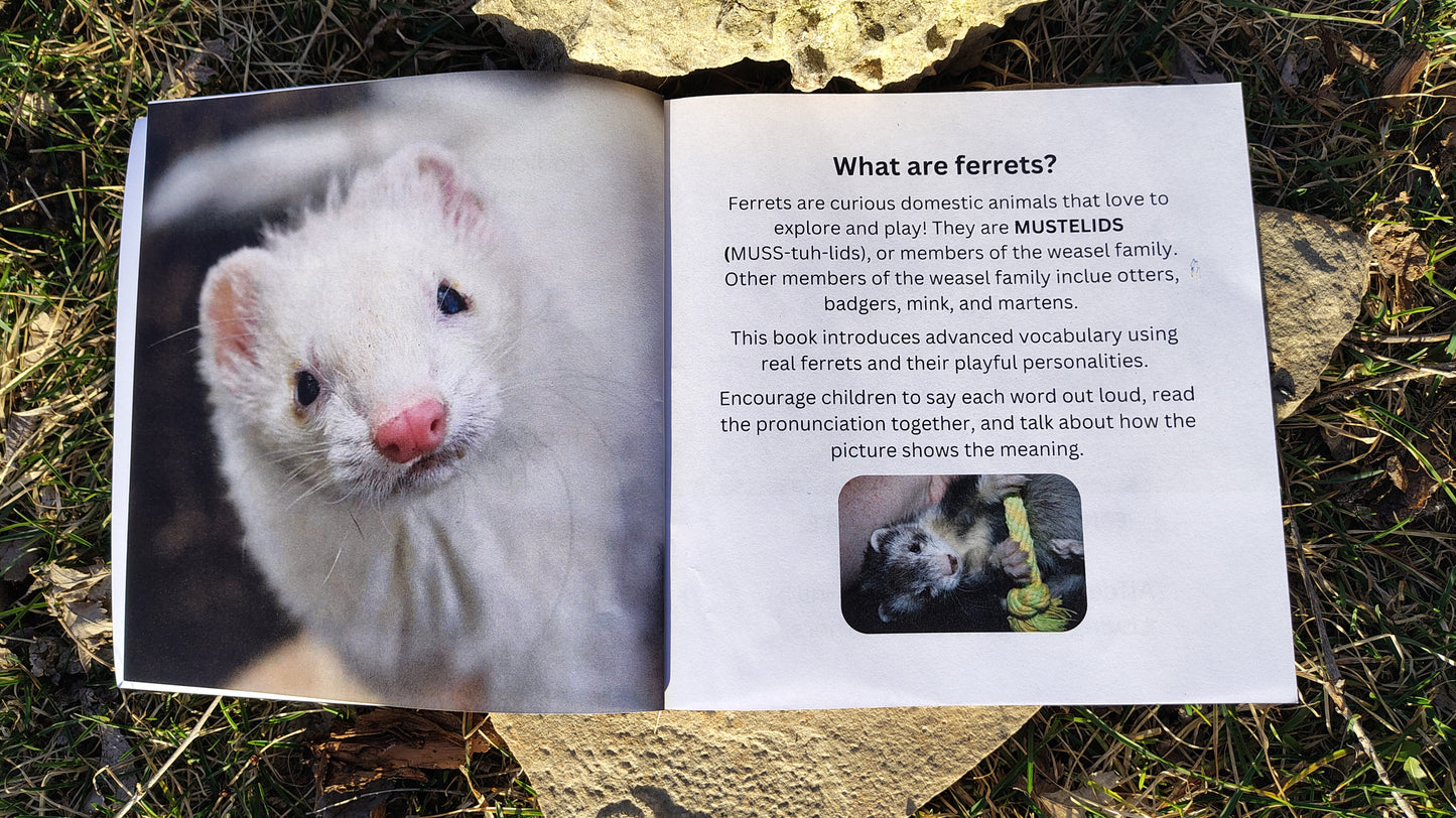 Wordy Weasels! An A-Z Vocabulary Adventure with Ferrets (signed copy)