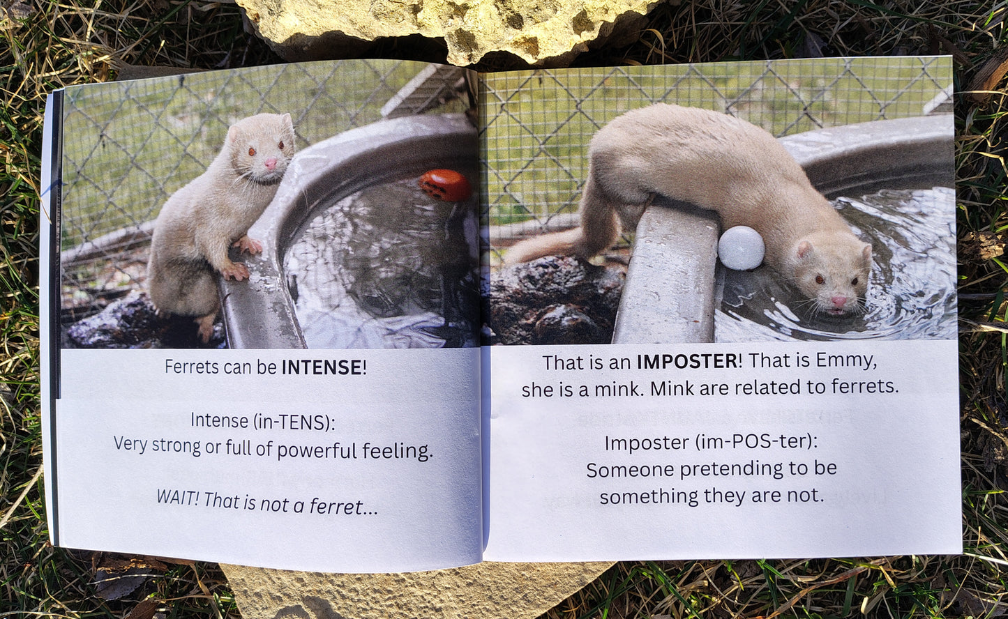 Wordy Weasels! An A-Z Vocabulary Adventure with Ferrets (signed copy)