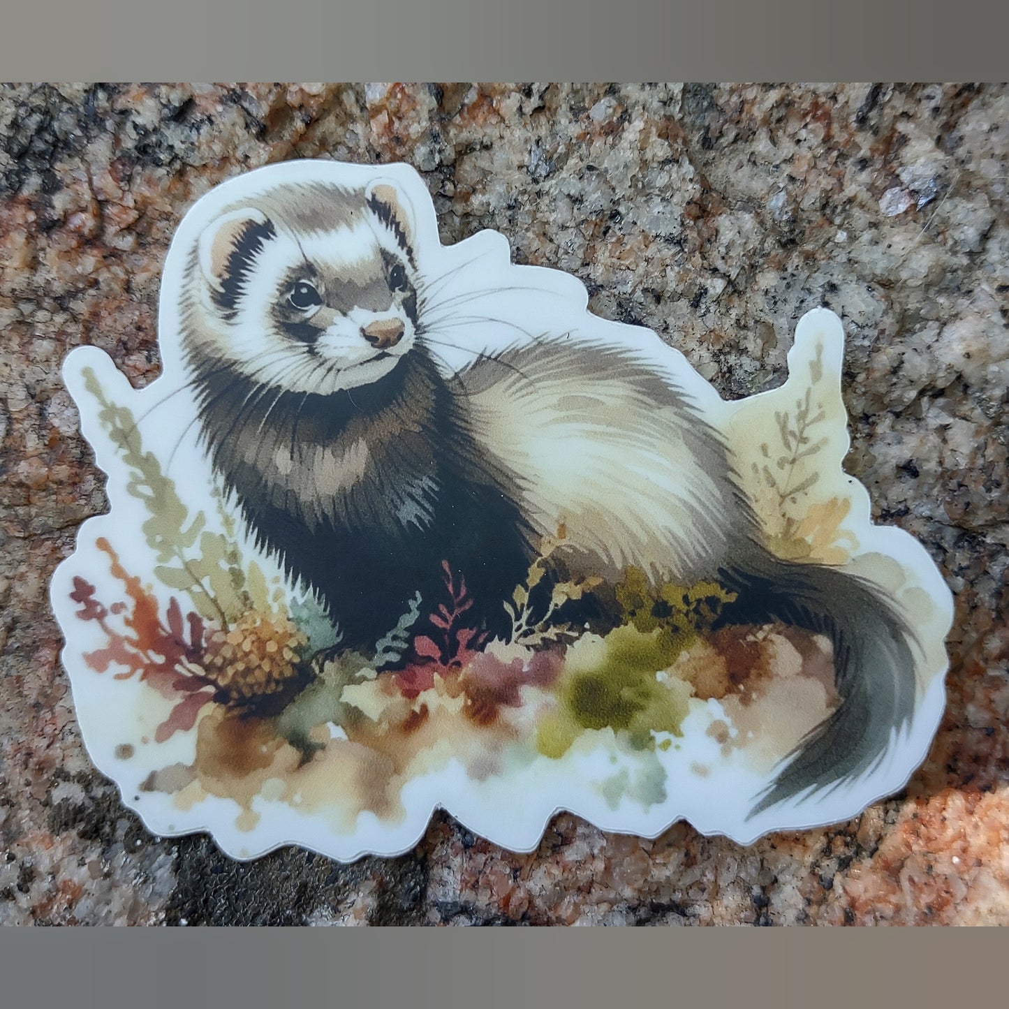 Limited Edition Sticker: Ferret