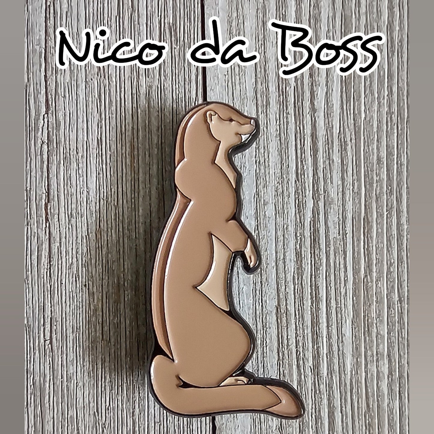 Nico Pin