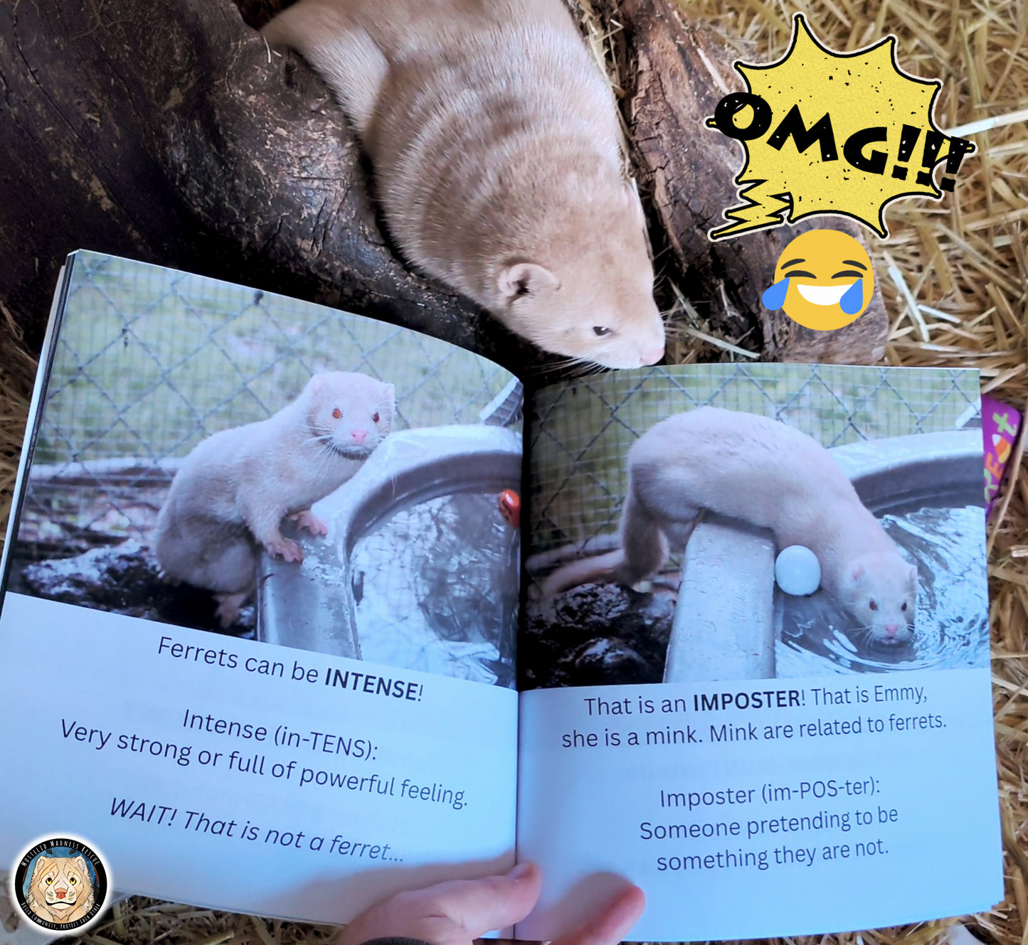Wordy Weasels! An A-Z Vocabulary Adventure with Ferrets (signed copy)