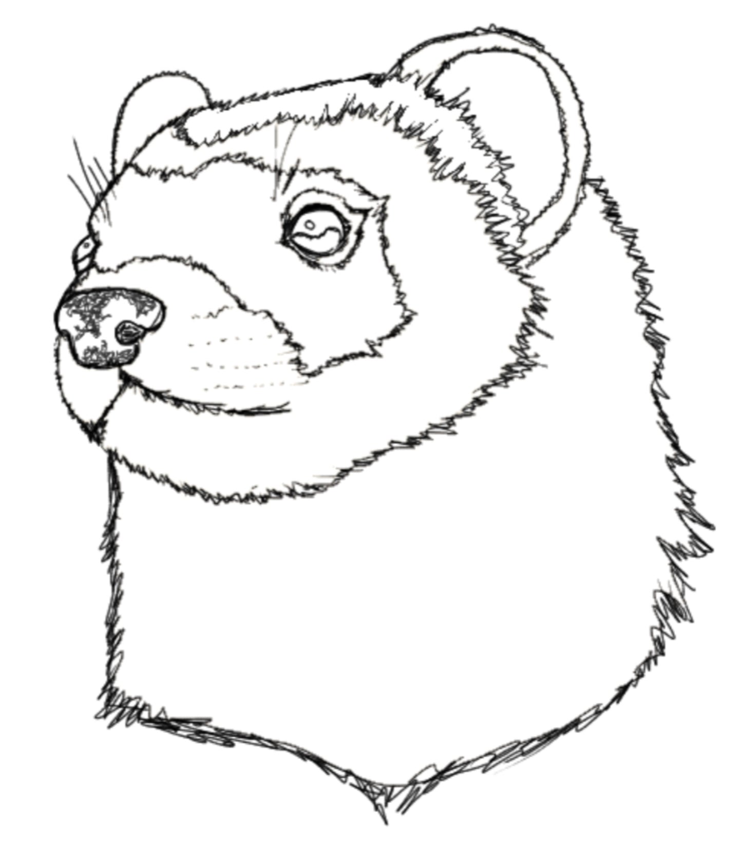 Artist Profile: Megan Carfino 🍄