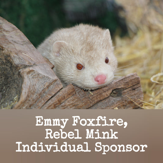 Individual Sponsor: Emmy