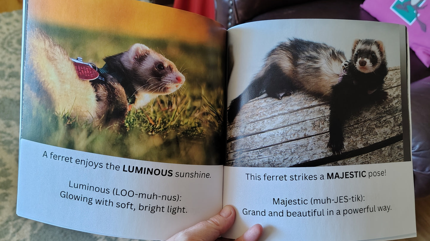 Mustelid Madness Kids Bundle: Coloring Book + A-Z Vocabulary Adventure + stickers! (Signed copy)