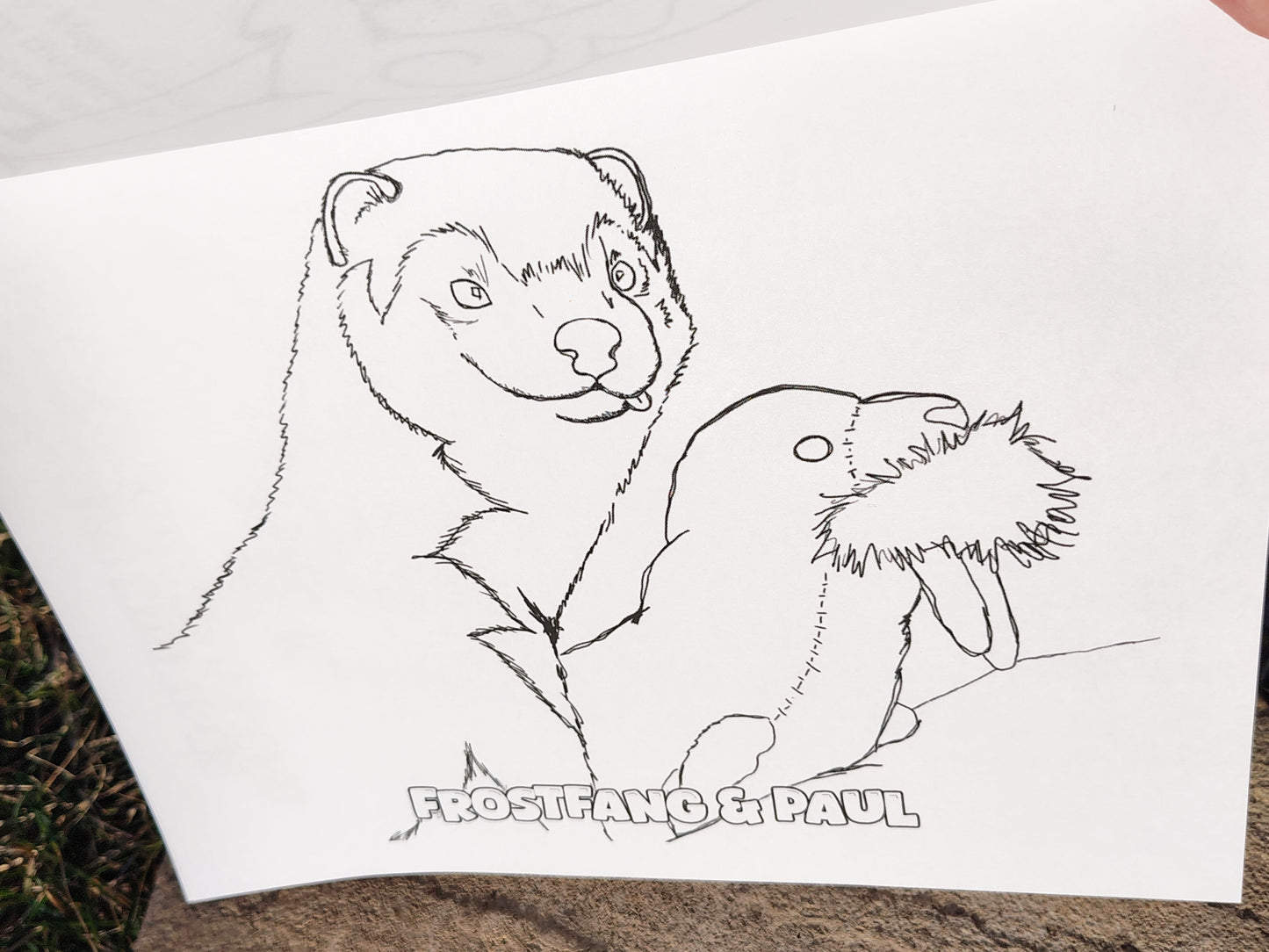 Mustelid Madness Stoatally Awesome Coloring Fun!