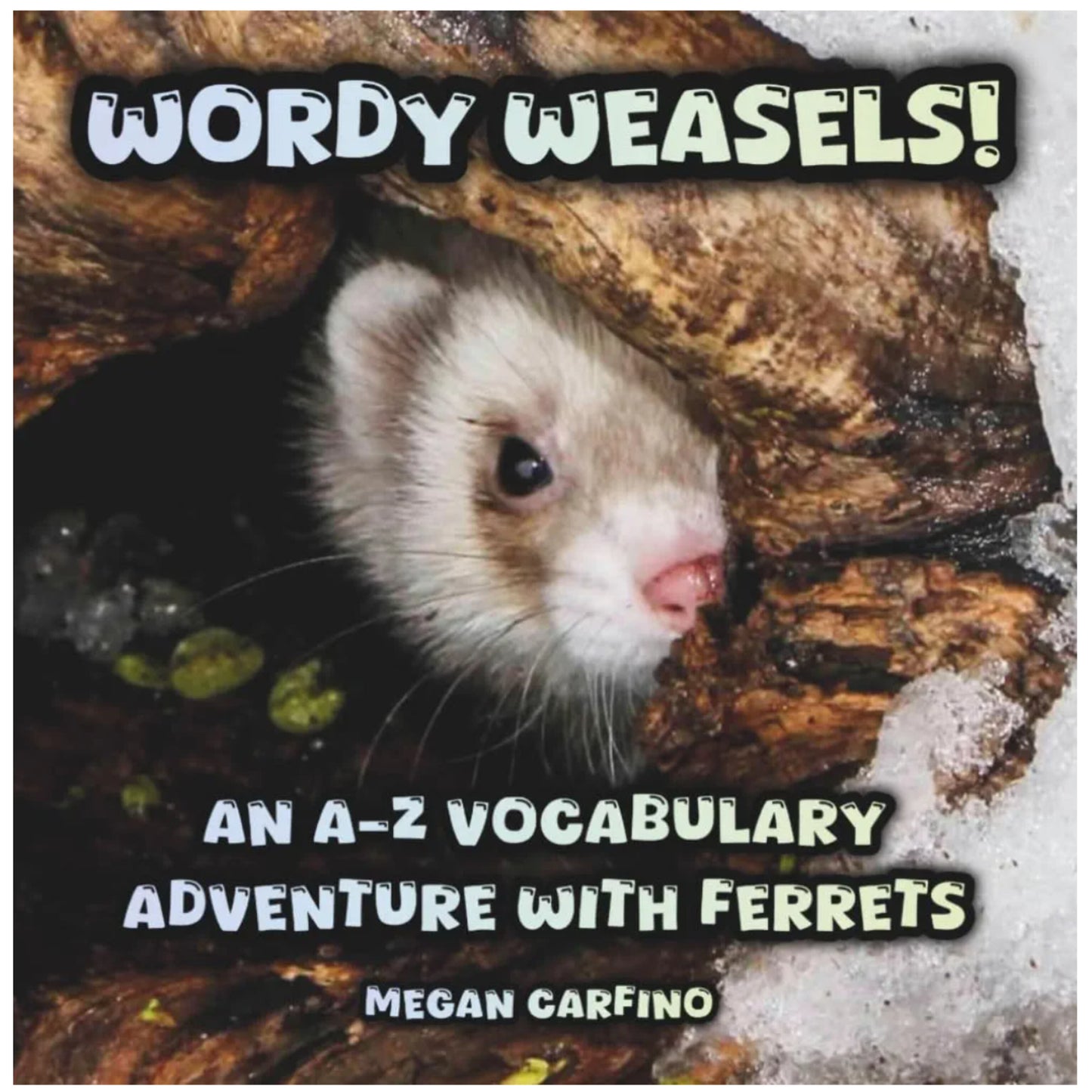 Mustelid Madness Kids Bundle: Coloring Book + A-Z Vocabulary Adventure + stickers! (Signed copy)
