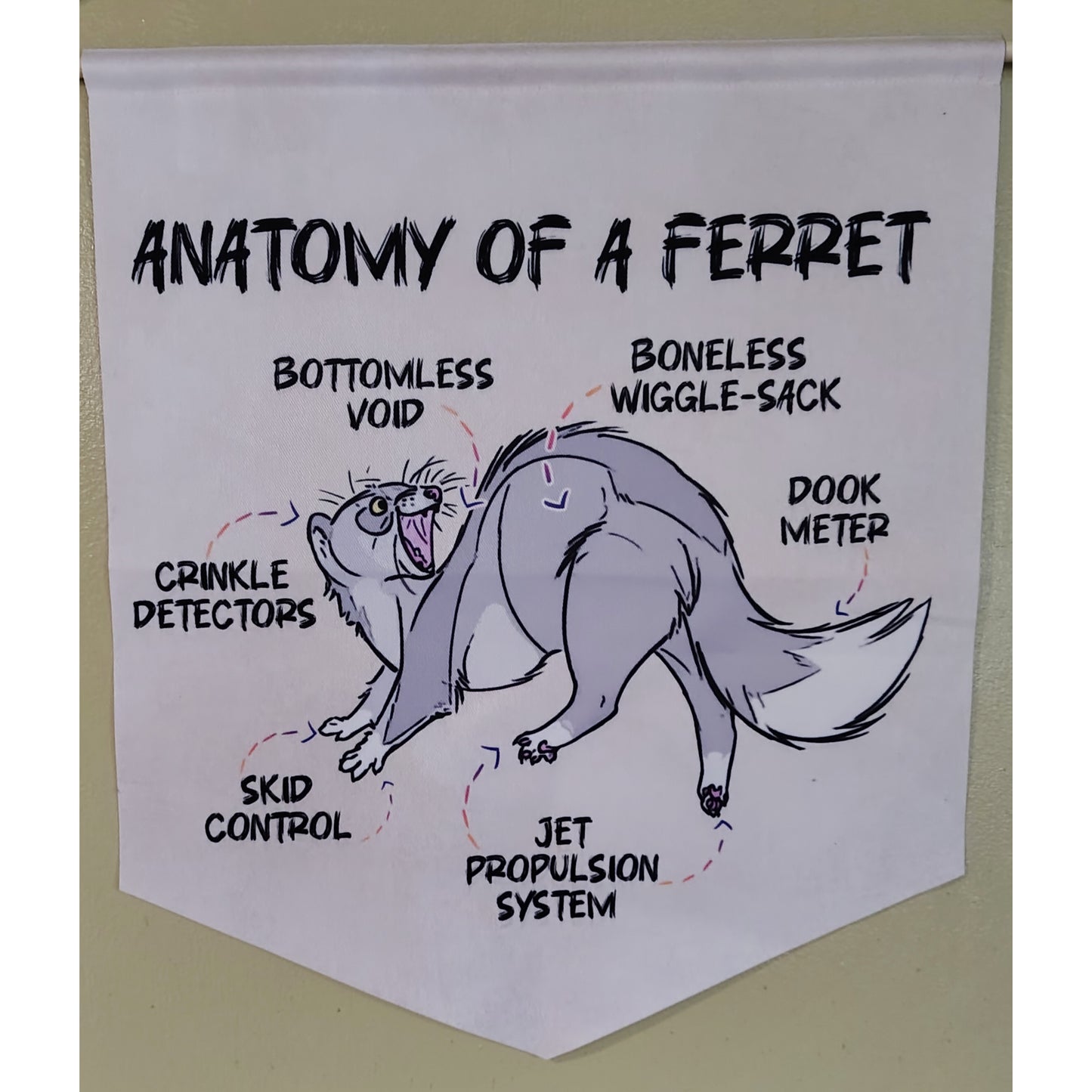 Anatomy of a ferret Pennant banner