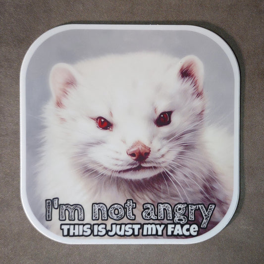 Sticker: This is just my face!