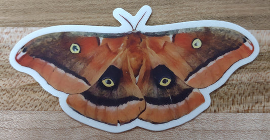 Sticker: Polyphemus Moth