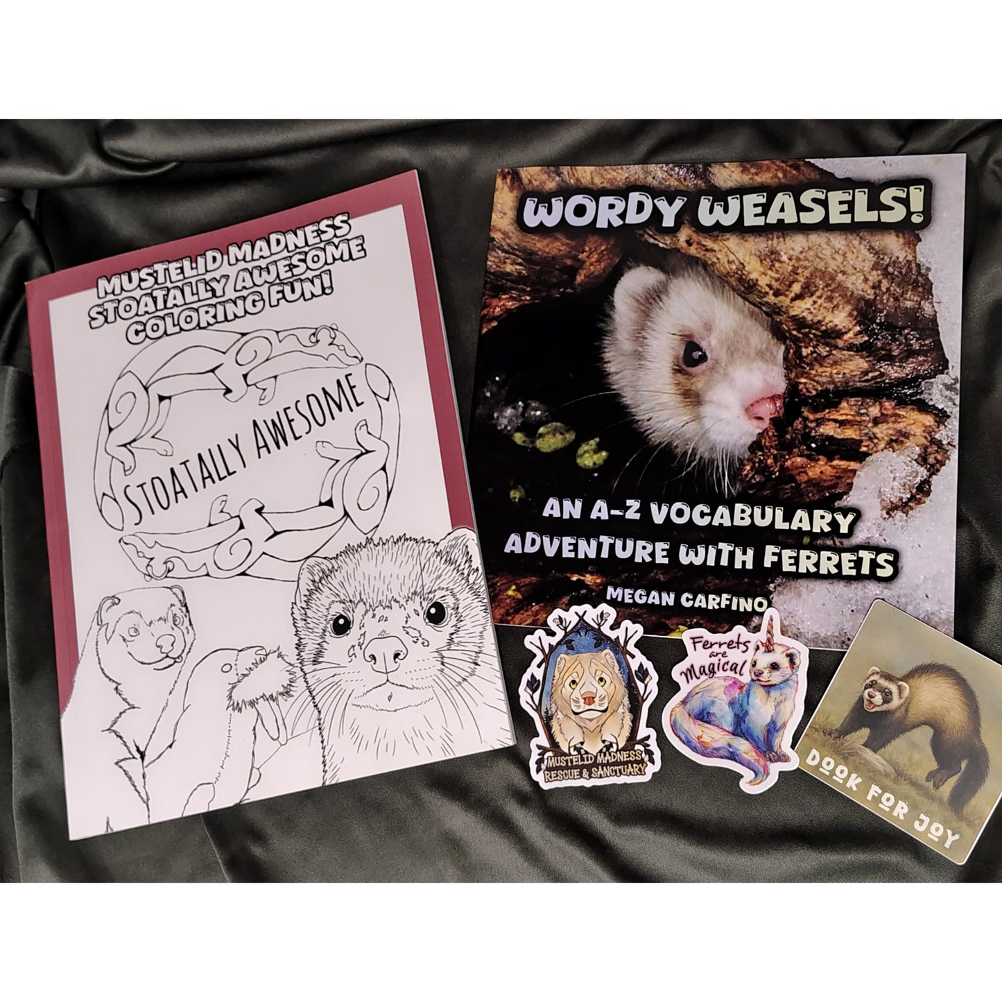 Mustelid Madness Kids Bundle: Coloring Book + A-Z Vocabulary Adventure + stickers! (Signed copy)