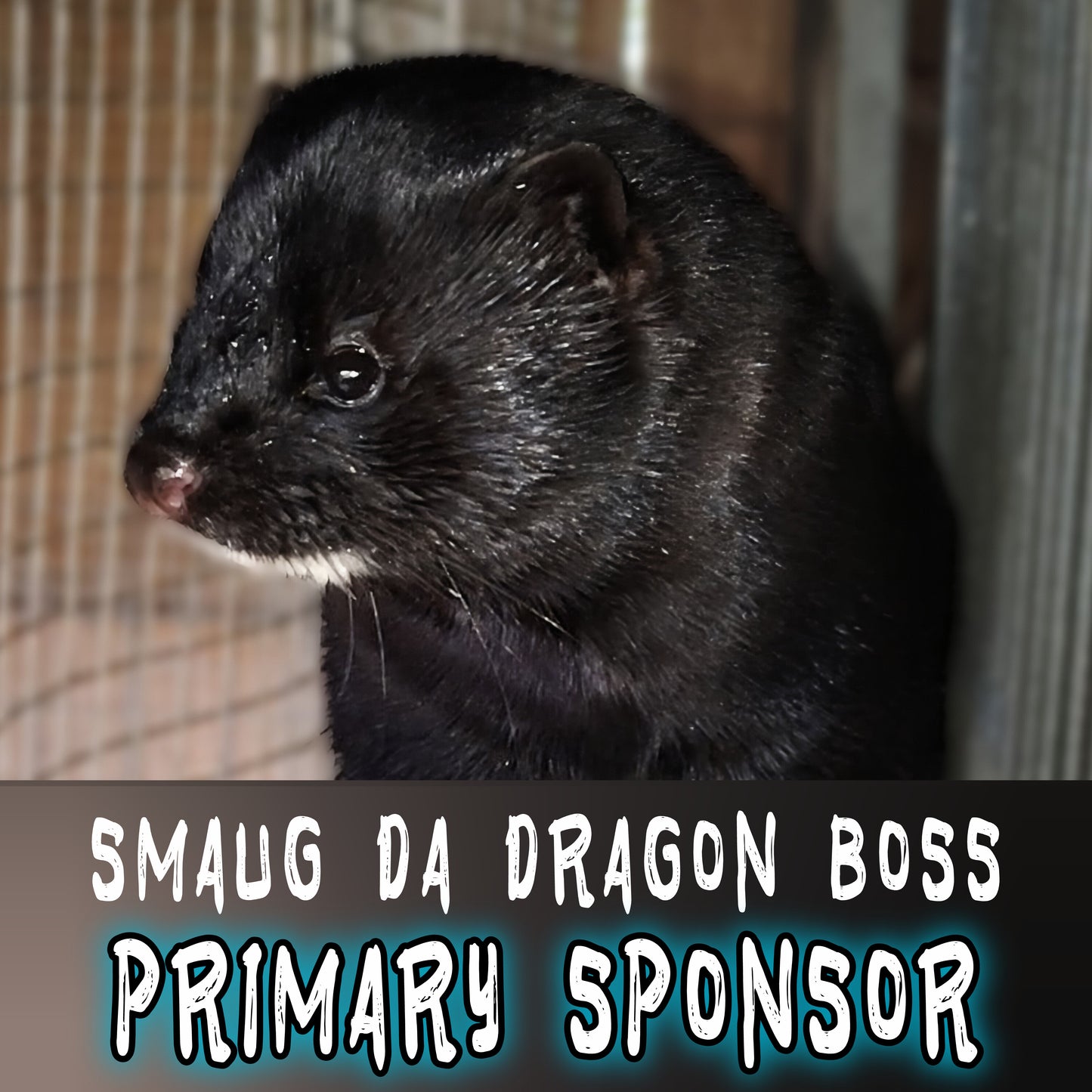 PRIMARY Sponsor: Smaug