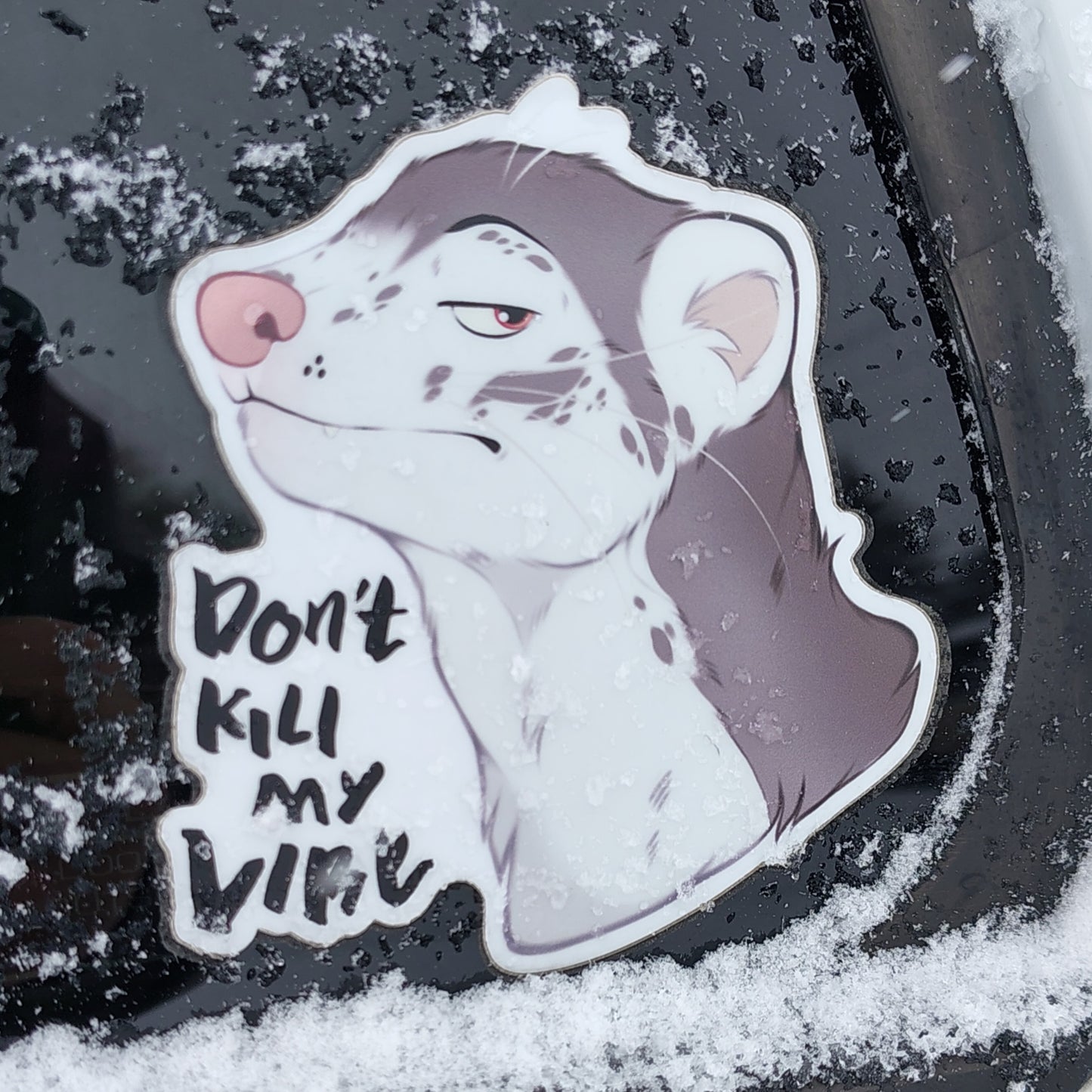 Artist Profile: Aneta Knoppvá ❄️