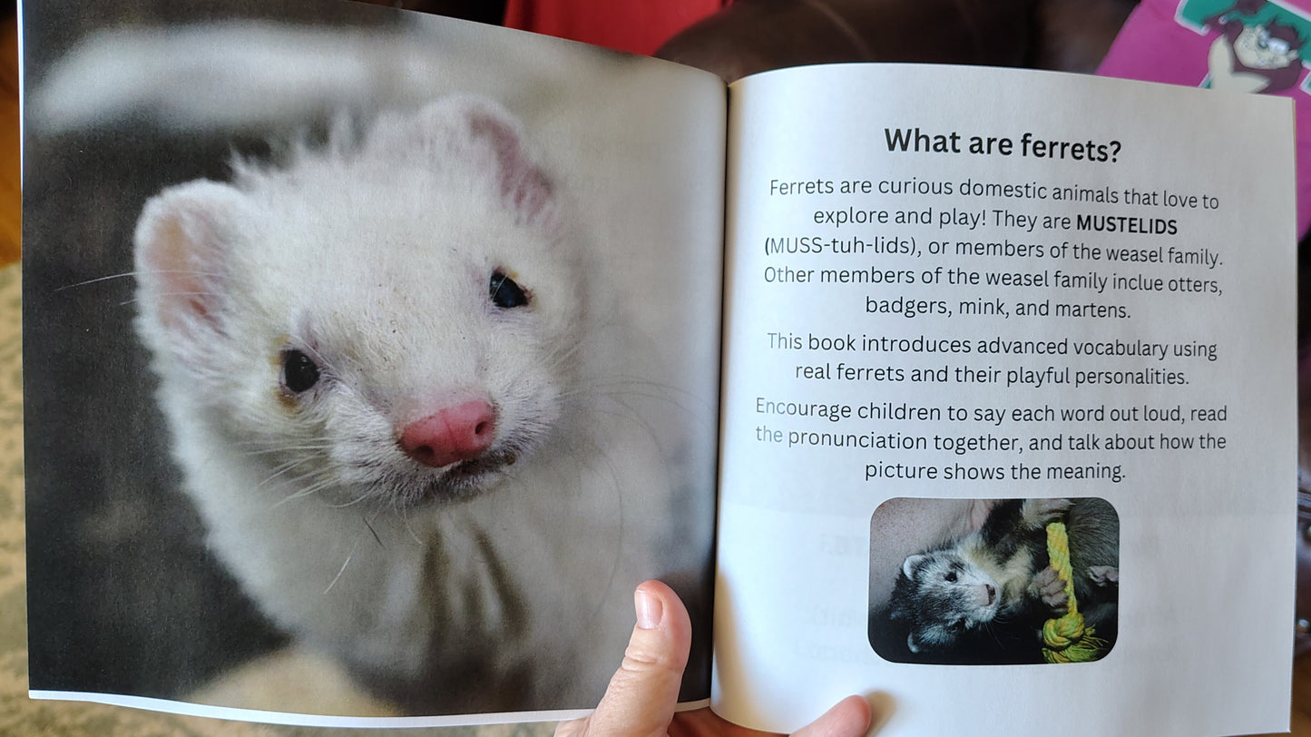 Mustelid Madness Kids Bundle: Coloring Book + A-Z Vocabulary Adventure + stickers! (Signed copy)
