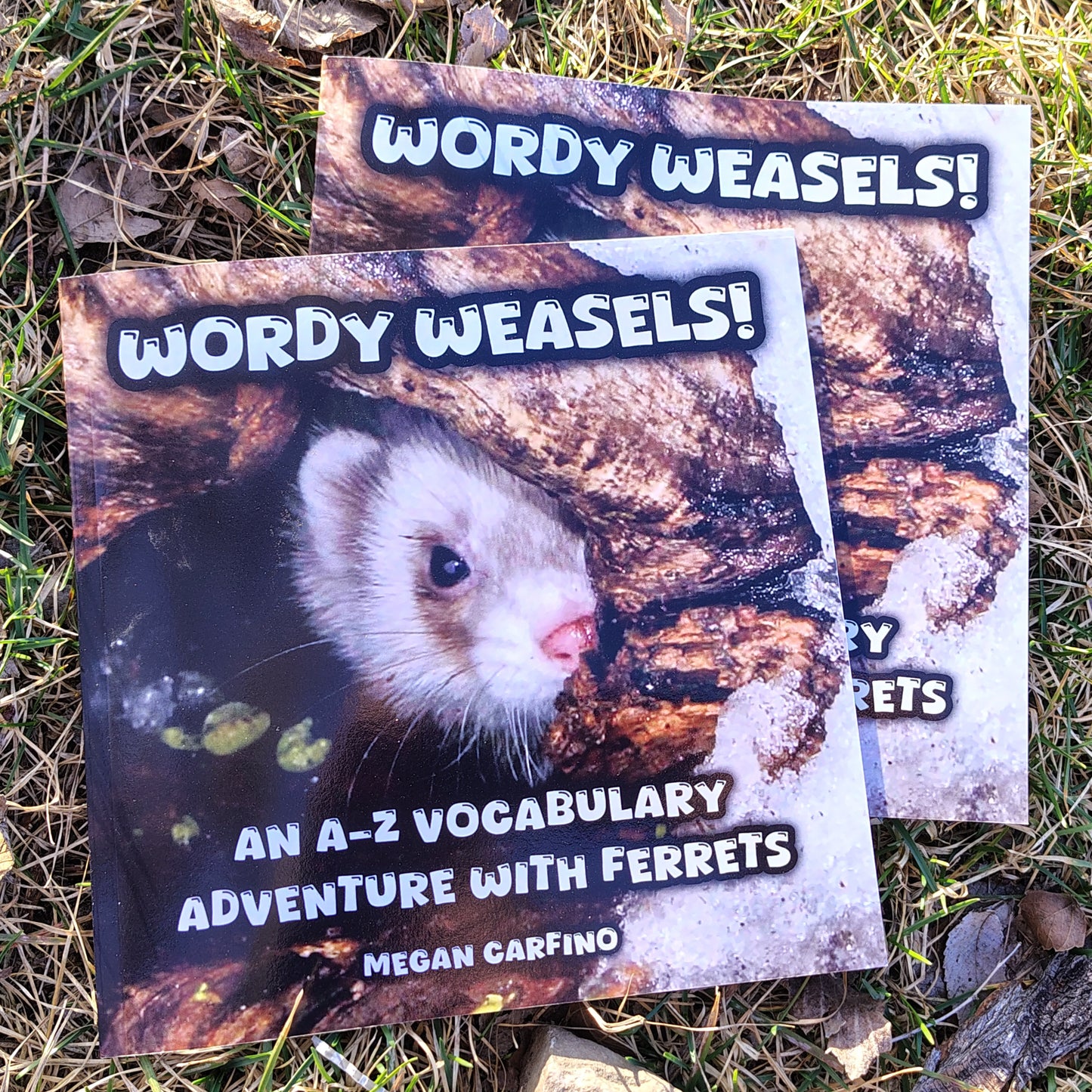 Wordy Weasels! An A-Z Vocabulary Adventure with Ferrets (signed copy)