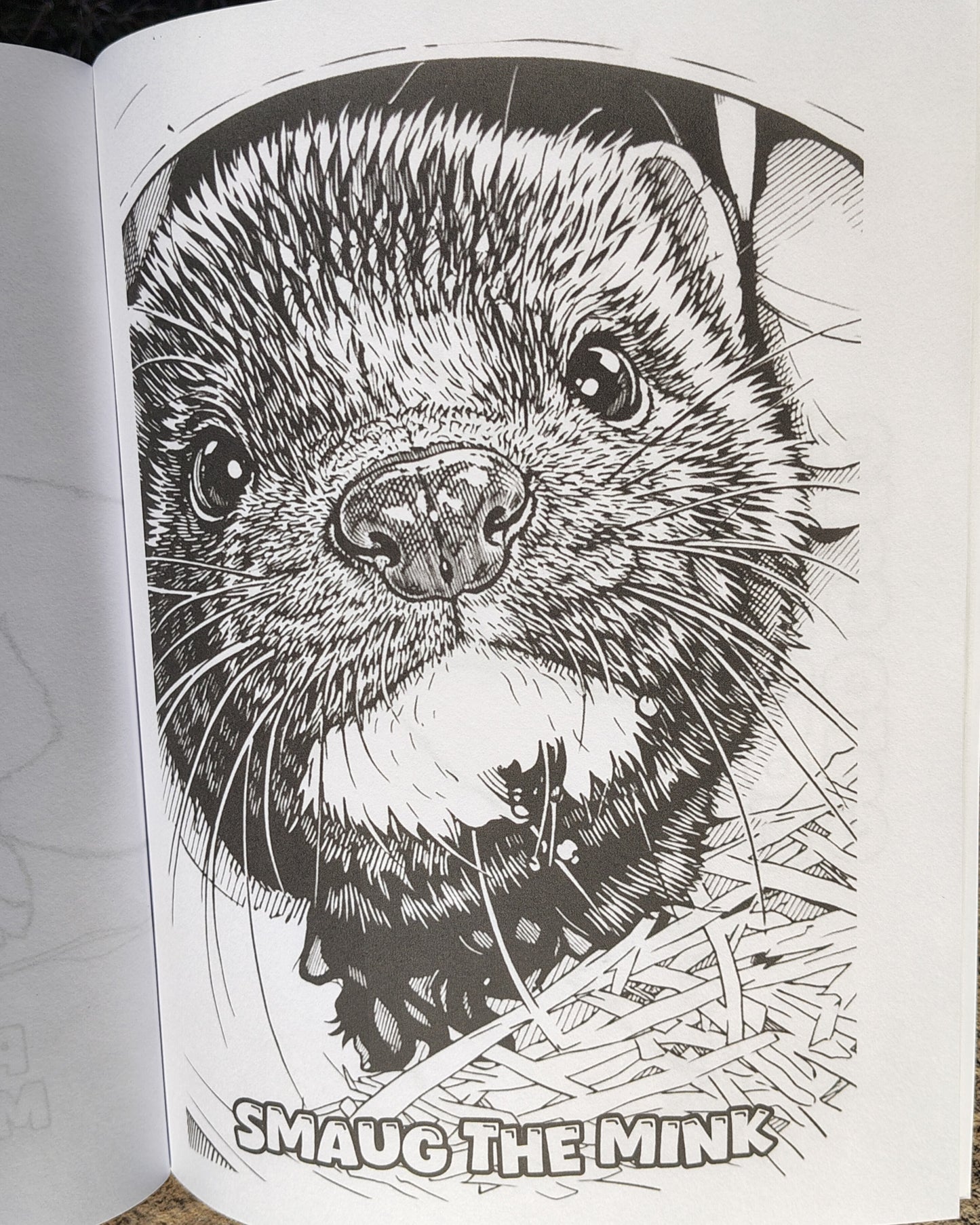 Mustelid Madness Stoatally Awesome Coloring Fun!