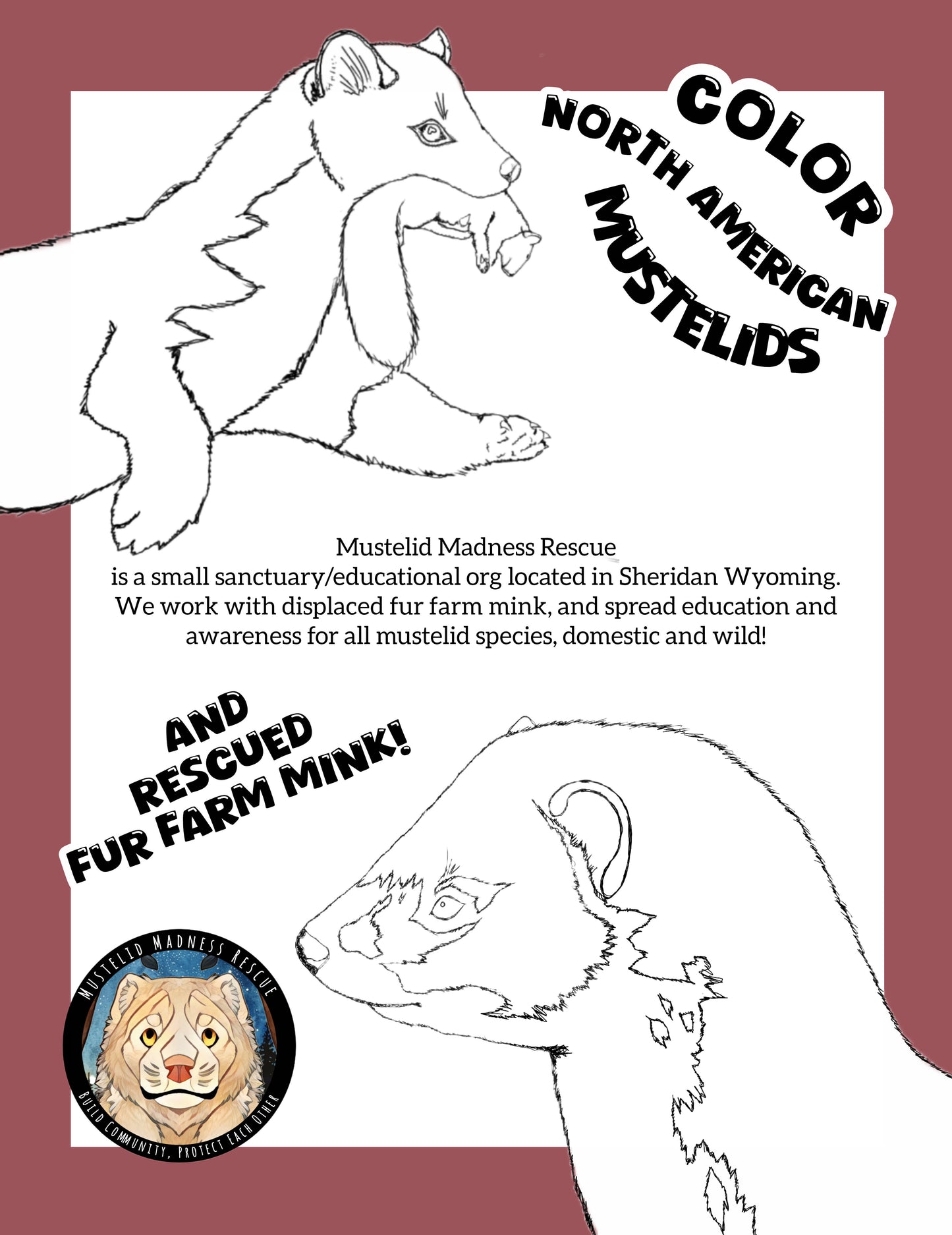 Mustelid Madness Stoatally Awesome Coloring Fun!