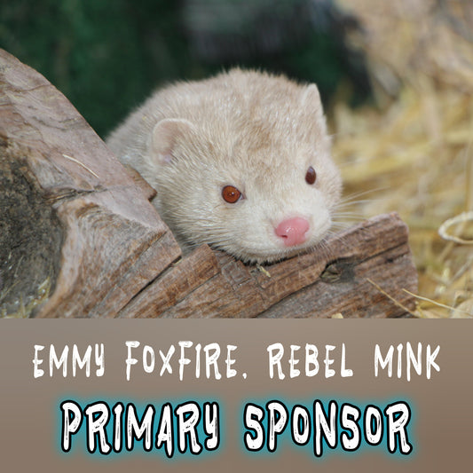 PRIMARY Sponsor: Emmy