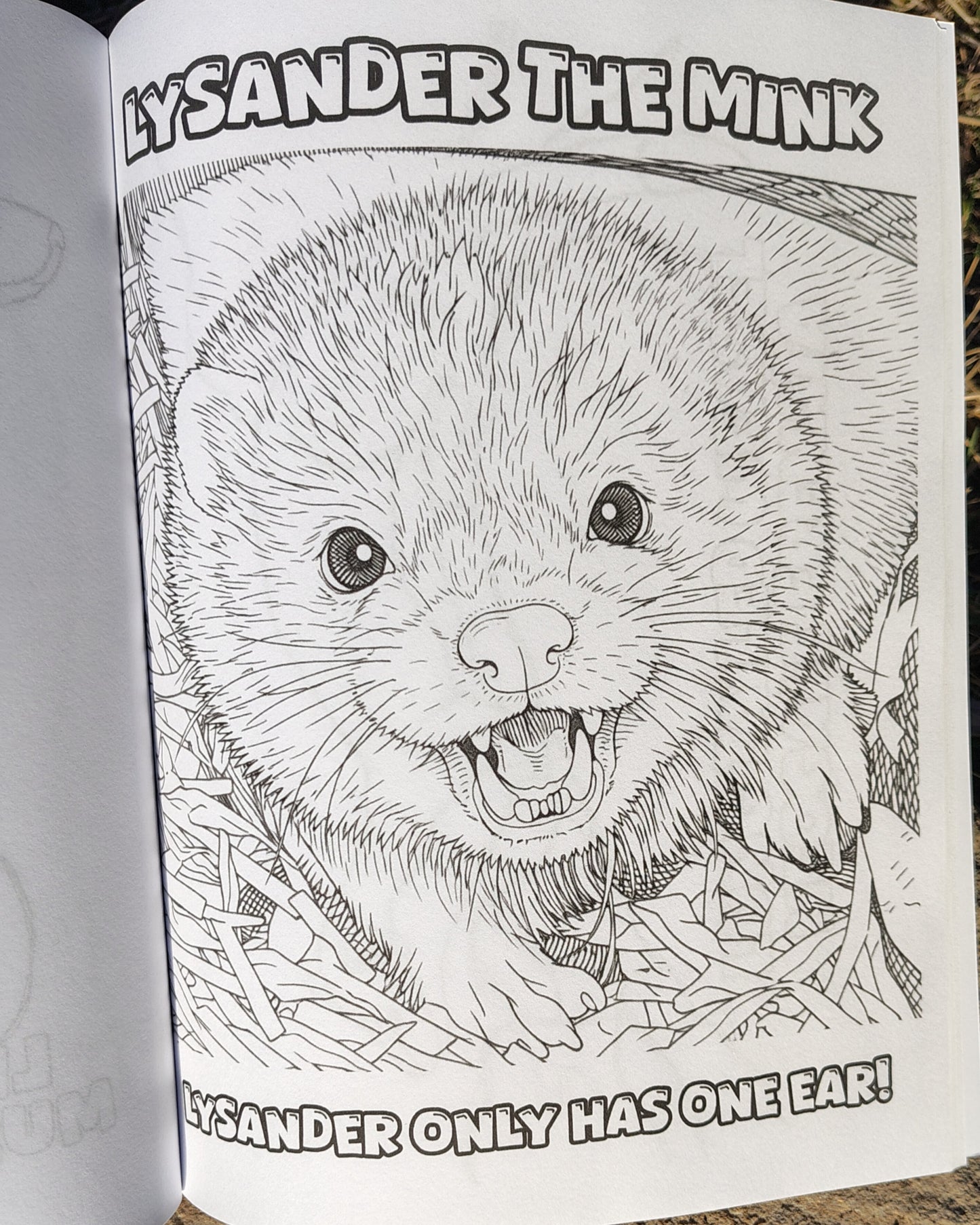 Mustelid Madness Stoatally Awesome Coloring Fun!