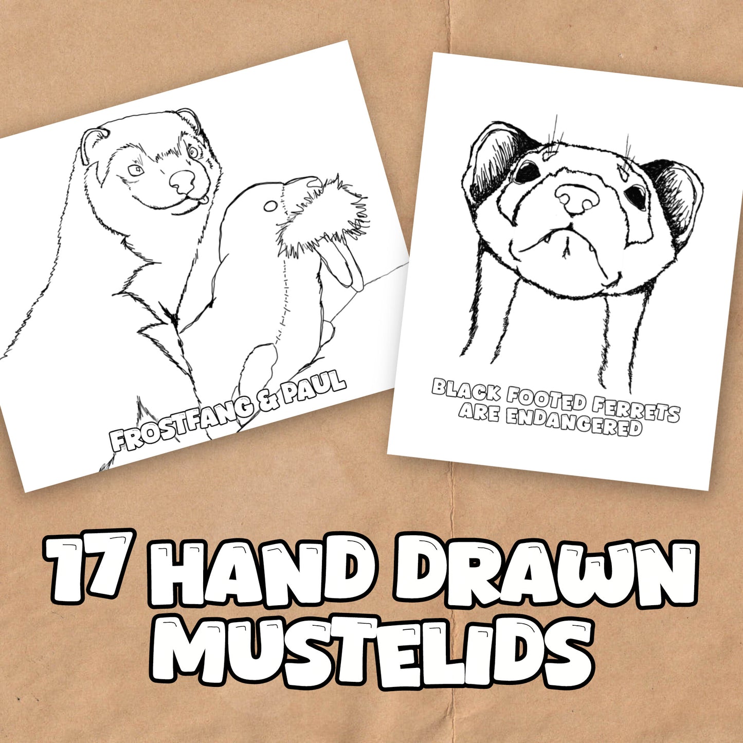 Mustelid Madness Stoatally Awesome Coloring Fun!