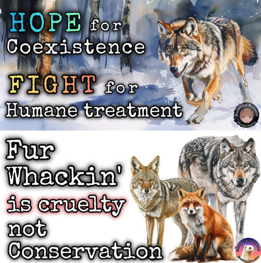 Hope Stickers: Free Shipping