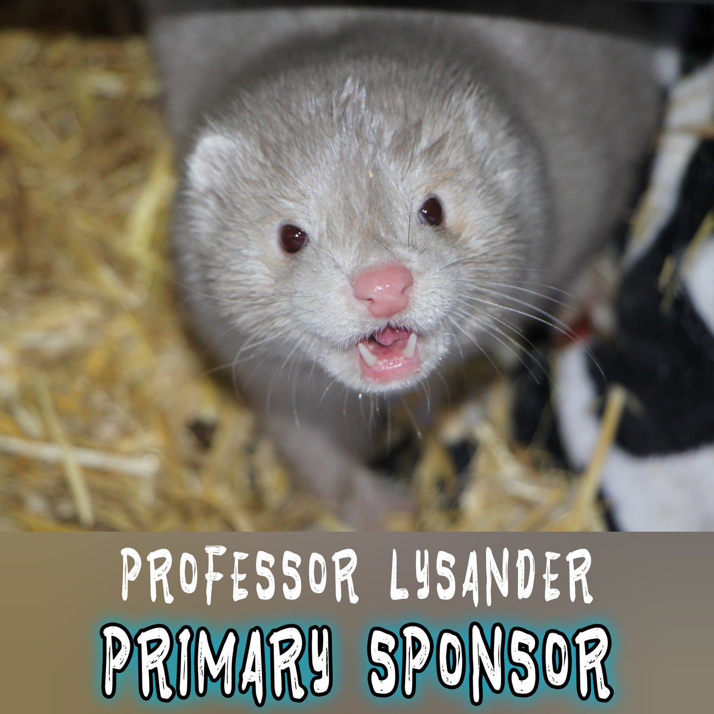 PRIMARY Sponsor: Lysander
